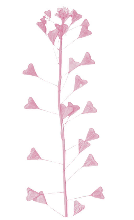 background_removed_image_S0QNV1B_Q_aTB8-AVcWoNg-512x840